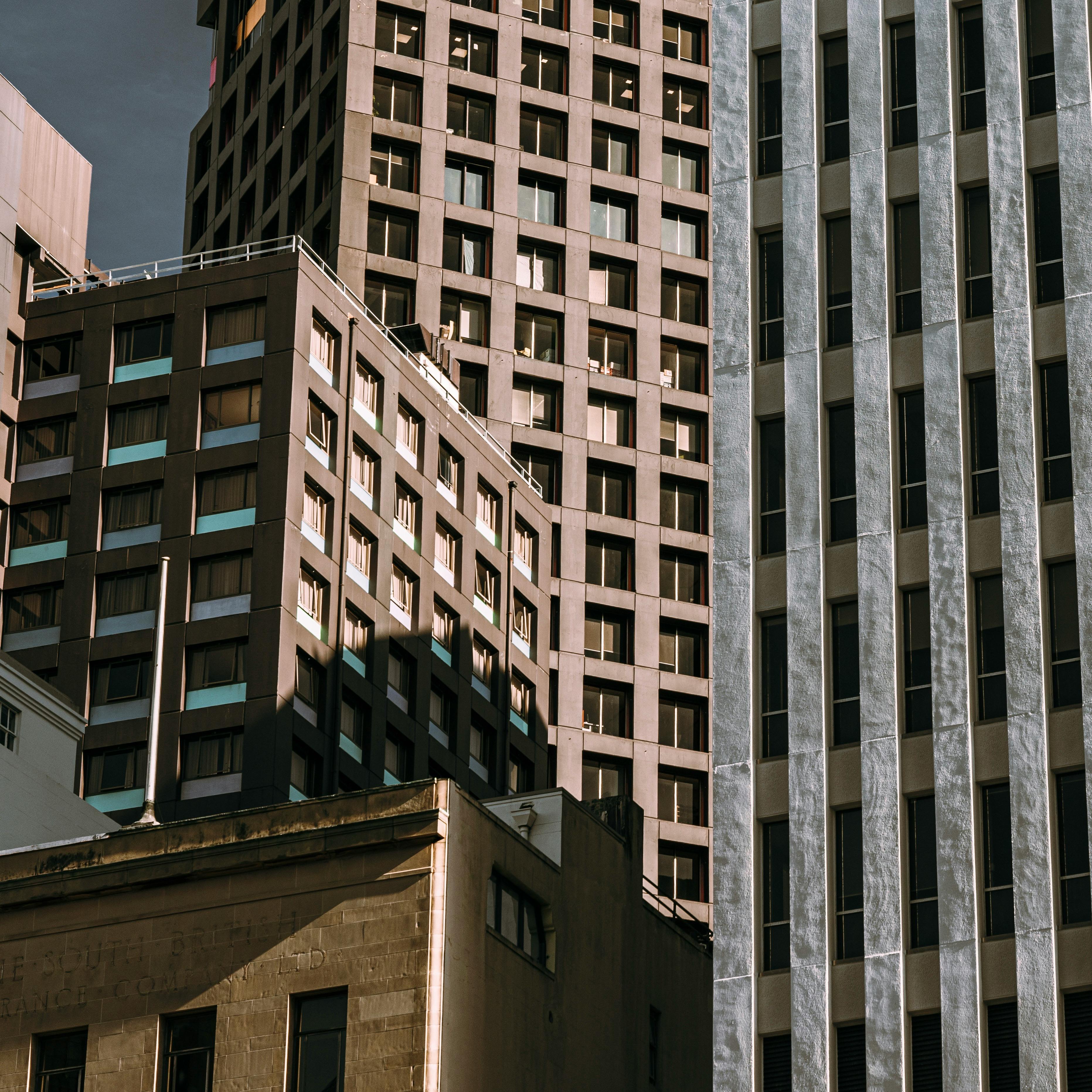 pexels-mtk402-12336824